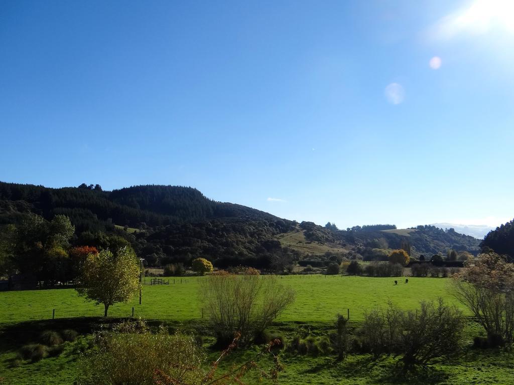 Waitati Arden Country House מראה חיצוני תמונה