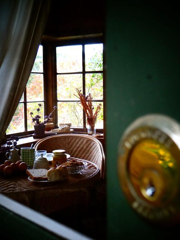 Waitati Arden Country House מראה חיצוני תמונה