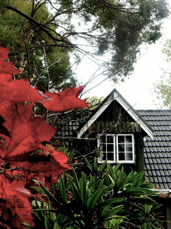 Waitati Arden Country House מראה חיצוני תמונה