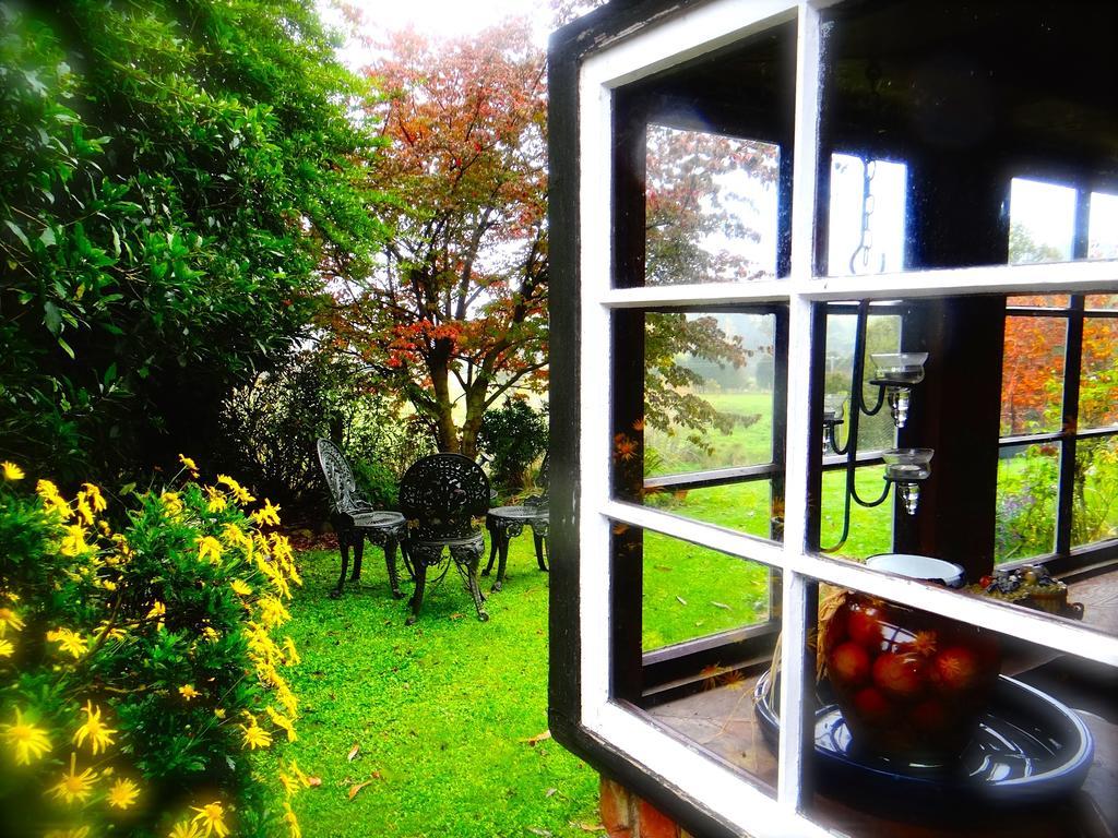 Waitati Arden Country House מראה חיצוני תמונה