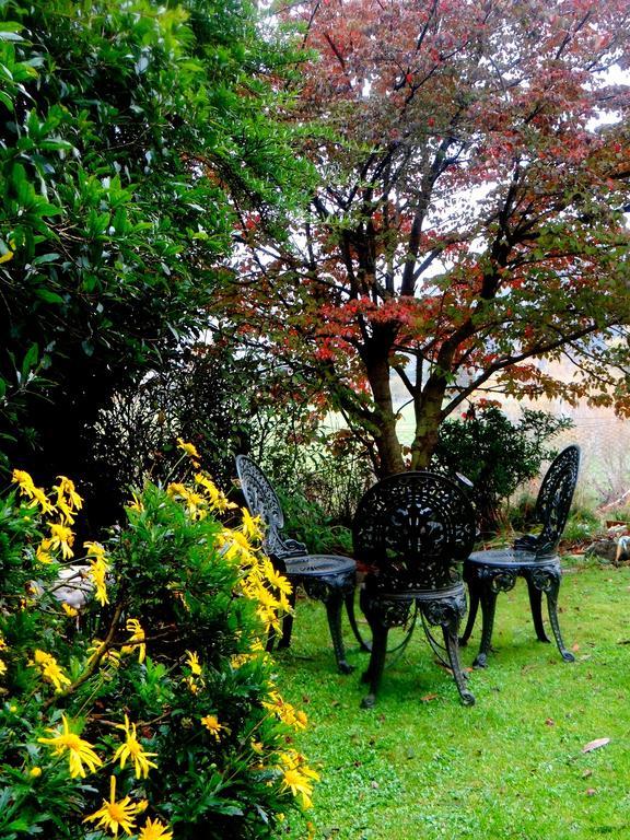 Waitati Arden Country House מראה חיצוני תמונה