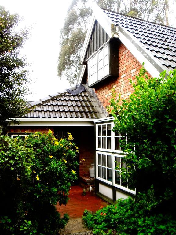 Waitati Arden Country House מראה חיצוני תמונה